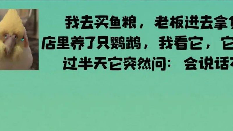 临期零食批发加盟，揭秘那些不为人知的流程要点